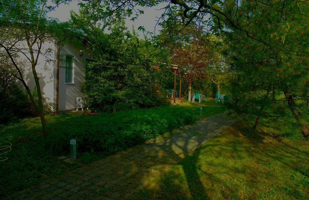 Rose Canine B&B-1